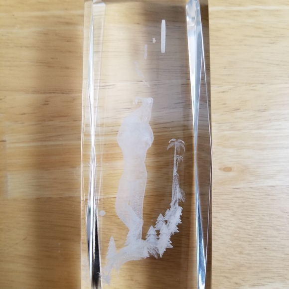 #10038 Rare Collect Lazer Cut Golfer Paper Weight - Picture 8 of 12